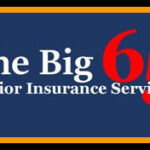 The Big 65 Medicare broker logo.