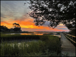 Color photo of South Caroline sunset
