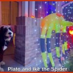 Plato and Ike_The Big 65 Medicare Insurance Broker