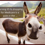 Donkey closeup Turning 65 and shopping for Medicare is a pain in the