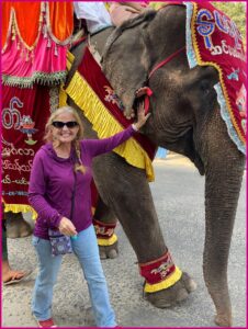 Quantz pets the big elephant in Burma via The Big 65.