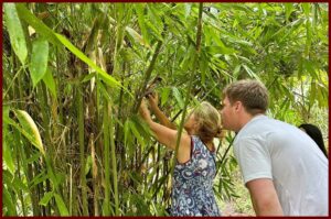 Q and N exploring bamboo as seen by Karl Bruns-Kyler of The Big 65.