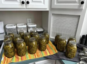 Green beans in 11 jars in Virginia.