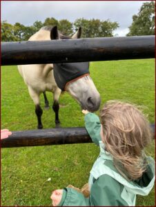 Kid feeding a hungry horse.