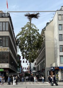 Upside down tree hanging from two buildings.