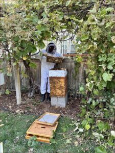 Karl working with the bee hives in his backyard in Colorado.