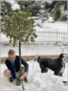 Karl Bruns-Kyler wraps a tree in the snow.