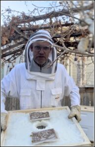 Karl working with honey bees in his backyard.