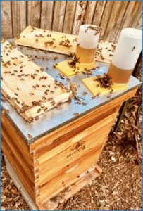 Karl's honey bee hives in Colorado.