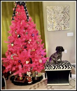 Clara Bell the black dog sitting in front of a pink Christmas tree in December.