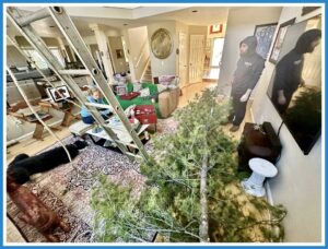 Quantz and Max take down the Christmas tree.