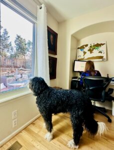Plato watching as The Big 65 works on QuickBooks.