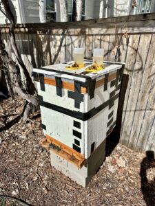 Karl's backyard beehive in Colorado.