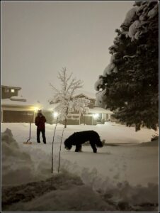 Karl Bruns-Kyler shoveling snow in Colorado as Plato the friendly dog watches Karl.