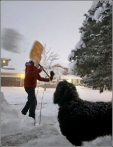 Karl Bruns-Kyler shoveling snow in Colorado as Plato the dog watches in delight.