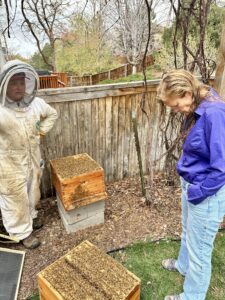 Quantz examining the bee hives.