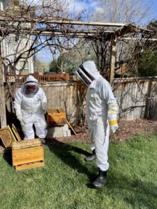 Beekeepers working with bees in a backyard in Colorado.