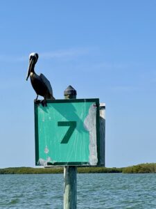 Bird on top of a sign.