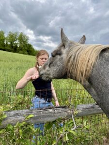 Sus feeding a horse in the Virginia countryside.