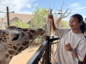 Mitia feeding a giraffe at the zoo.