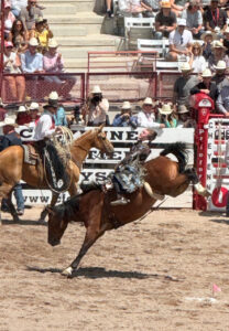 A man riding a bucking horse at the rodeo.