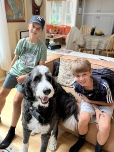 Plato the big black and white dog posing with two young boys.