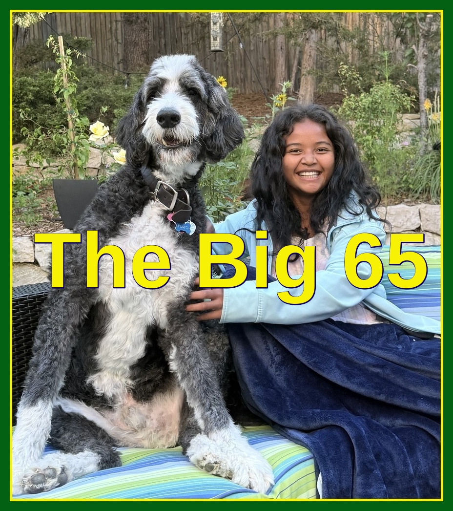 Karl Bruns-Kyler of The Big 65 Medicare Insurance Services.