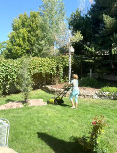 Quantz walking behind a lawn mower cutting the grass in the backyard.
