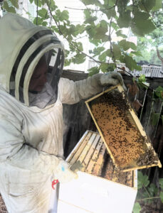A beekeeper holding a bee hive.