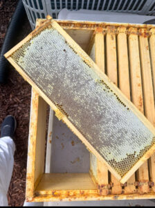 A beehive.