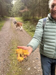 Boris showing a mushroom with a St. Bernard dog in the background along a stone road.