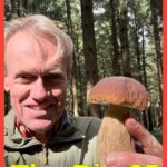 Karl Bruns-Kyler of The Big 65 Medicare Insurance Services holding a mushroom.