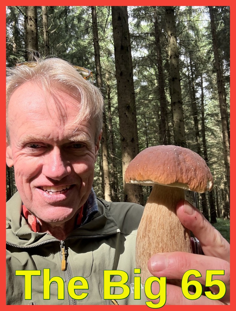Karl Bruns-Kyler of The Big 65 Medicare Insurance Services holding a mushroom.
