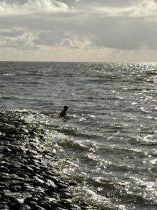 Karl swimming in the North Sea.