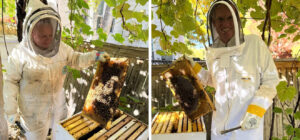 Beekeepers working with bee hives.