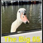 The Big 65 Karl Bruns Kyler, Medicare broker.