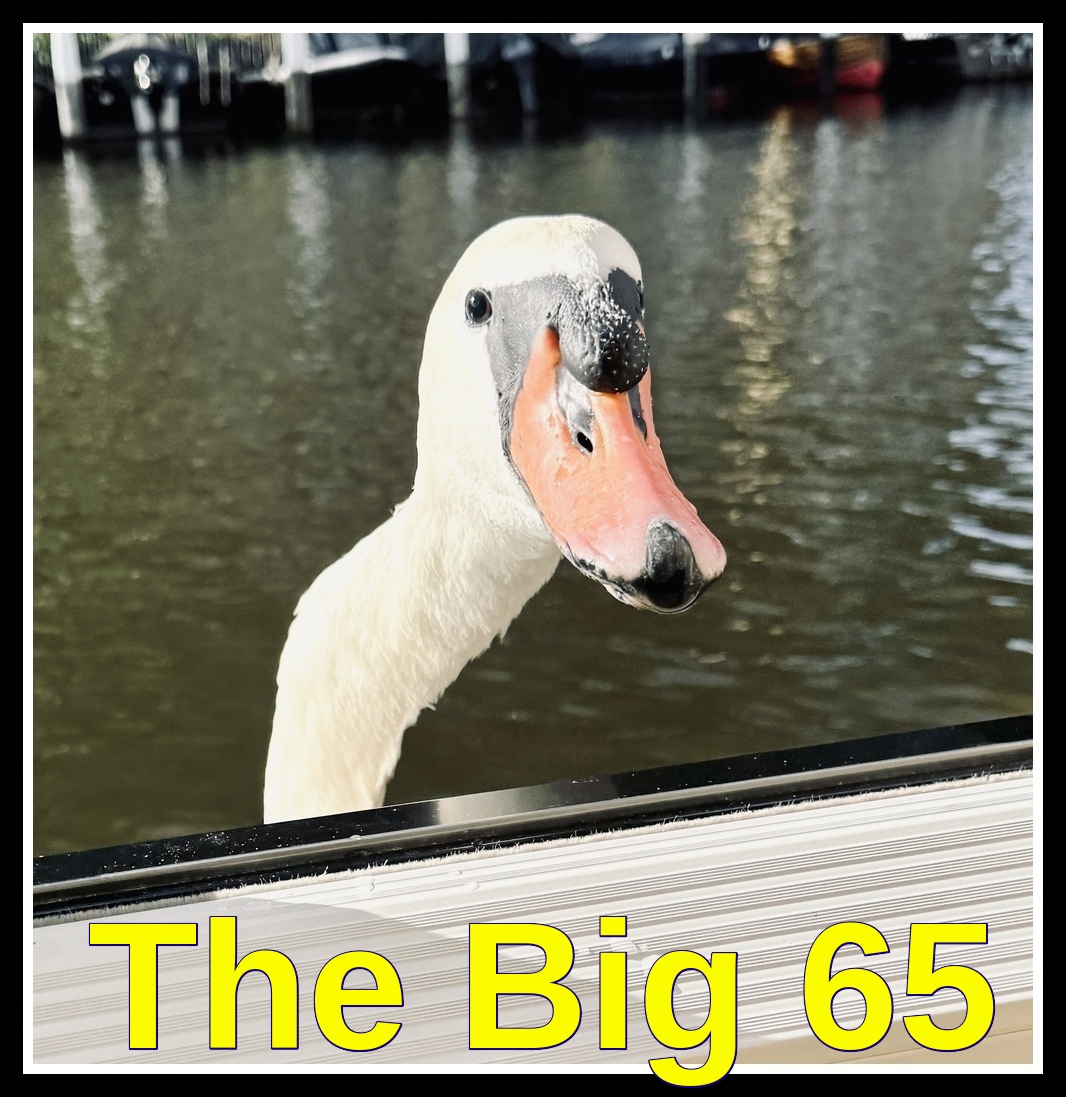 The Big 65 Karl Bruns Kyler, Medicare broker.