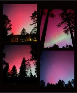 The Northern Lights with silhouette of evergreen trees .