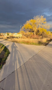A road with trees in the distance.