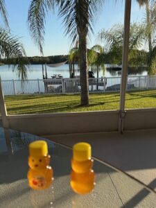 Two honey bear containers with water in the distance.