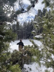 Miti standing in the forest.