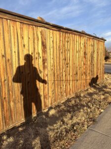 A shadow of Karl walking Plato the big black and white dog.