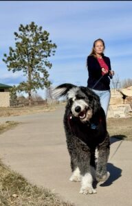 Quantz walking Plato, the big black and white dog.