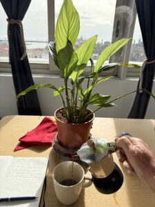 A green plant and a cup of jo.