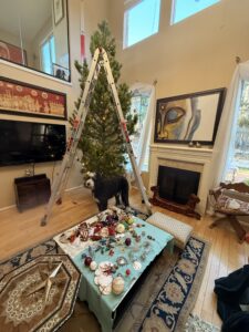 A Christmas tree without decorations with a large ladder in front of the tree.