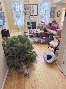 The Christmas tree on its side, ready to be hauled away.