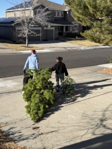 Karl and Miti hauling the Christmas tree to recycling.