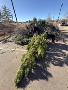Miti standing near the recycled trees.