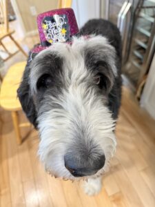 Plato with a hat on his head.