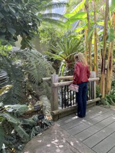 The Big 65 Medicare Insurance Services blog.